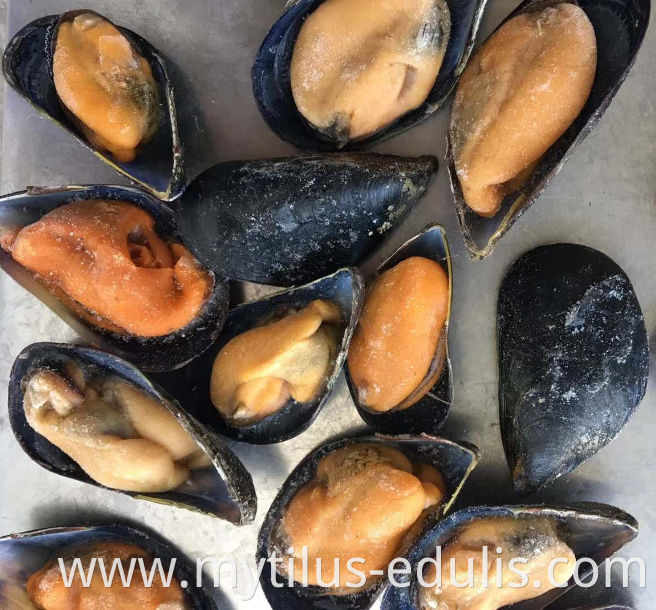 natural flavor hot sale frozen half shell mussels